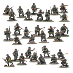German Veteran Infantry...