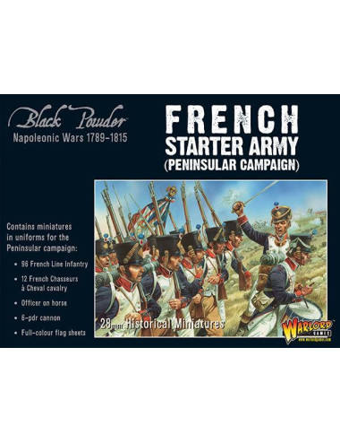 Napoleonic French Starter...