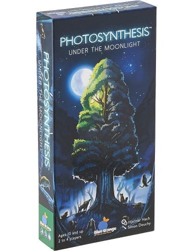 Photosynthesis Under The...