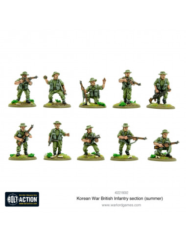 British Infantry section (summer)