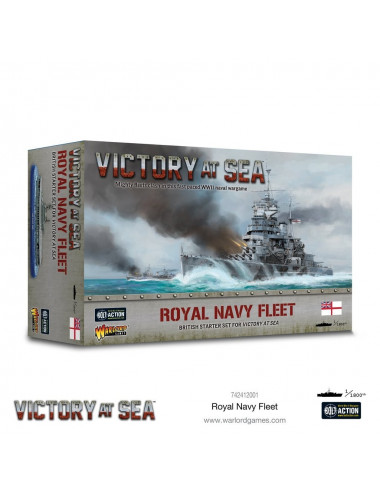 Royal Navy fleet